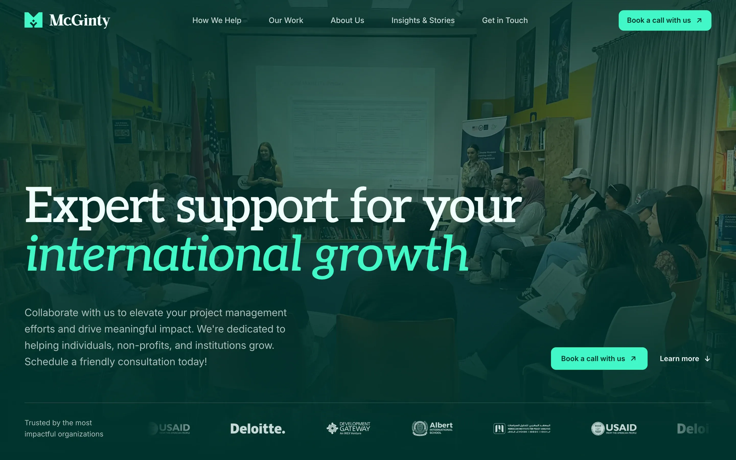 McGinty Consulting, the home page