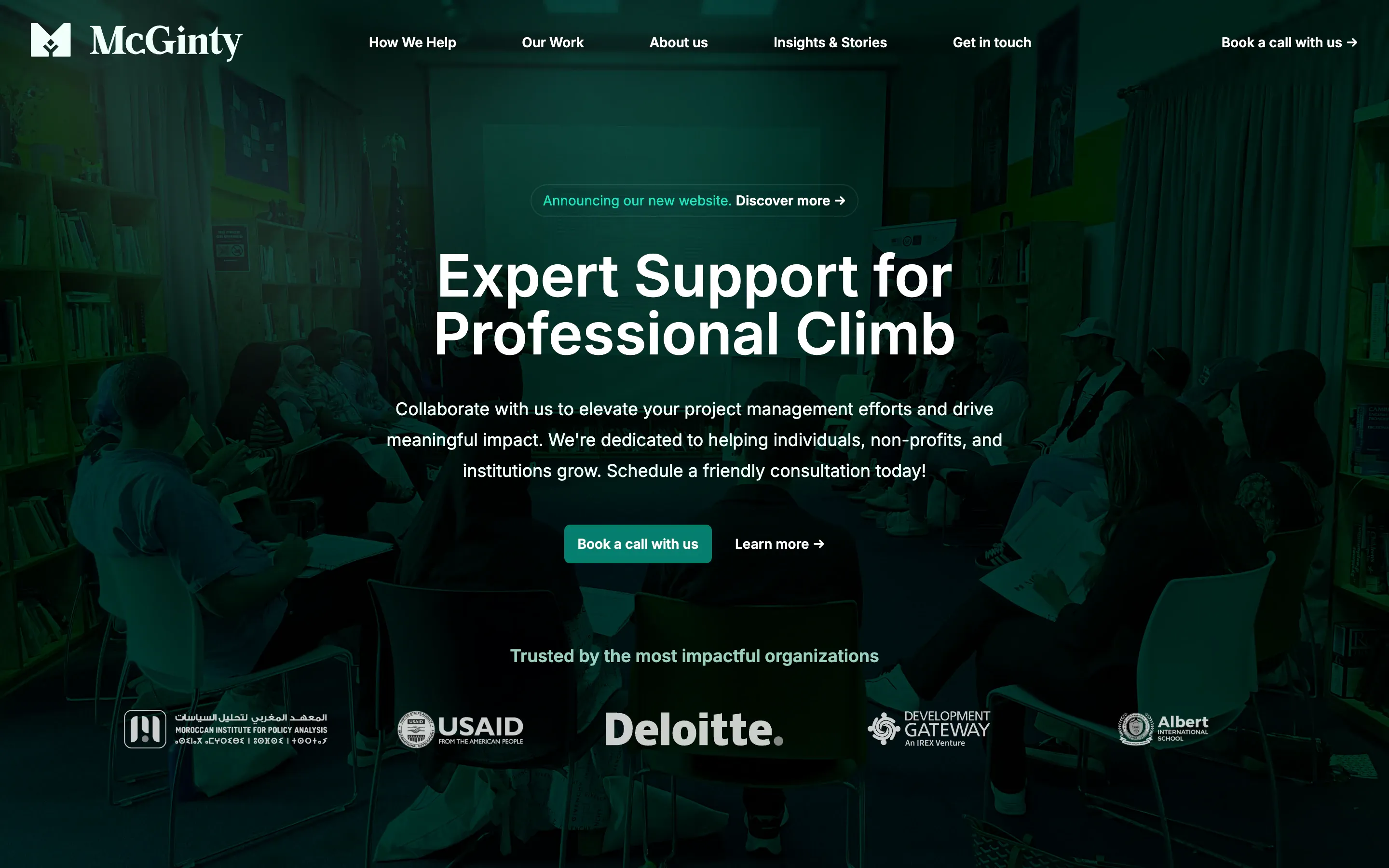 McGinty Consulting, the version before